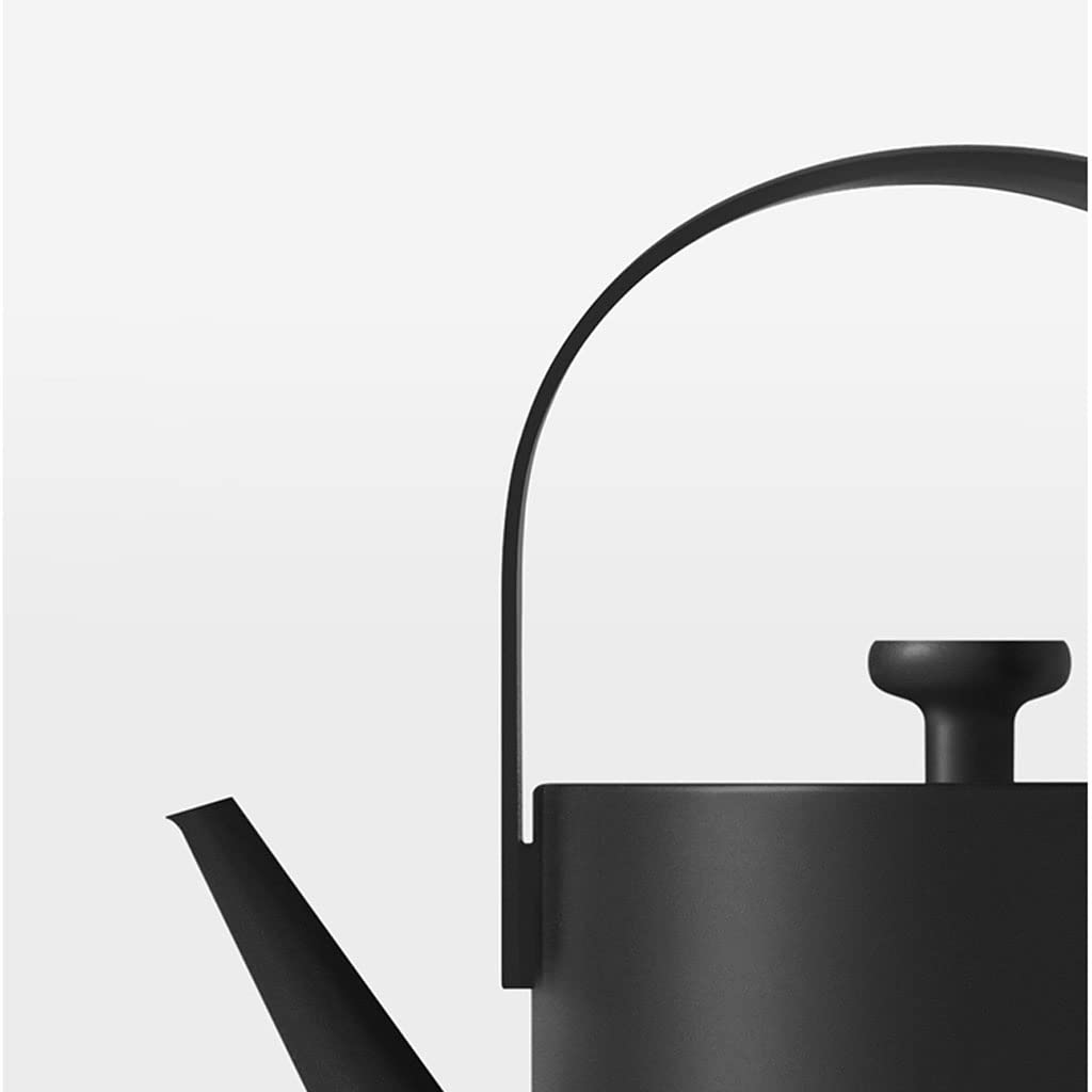 Stainless Steel Electric Kettle with Fast Boiling and Auto Shut-Off Function