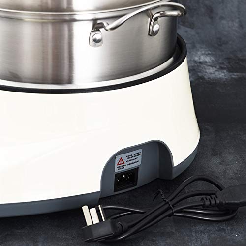 Stainless Steel Electric Food Steamer with Double Layer and Timer Function