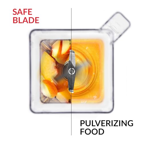 Professional Blender with 90oz Jar and High-Power Motor