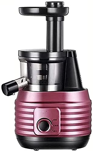 Slow Masticating Juicer with Reverse Function and Quiet Motor