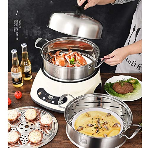 Stainless Steel Electric Food Steamer with Double Layer and Timer Function