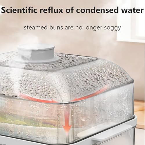 Electric Food Steamer with Timer and Smart Cooking Function