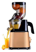 Slow Masticating Juicer with Wide Mouth Hopper for Fruits and Vegetables