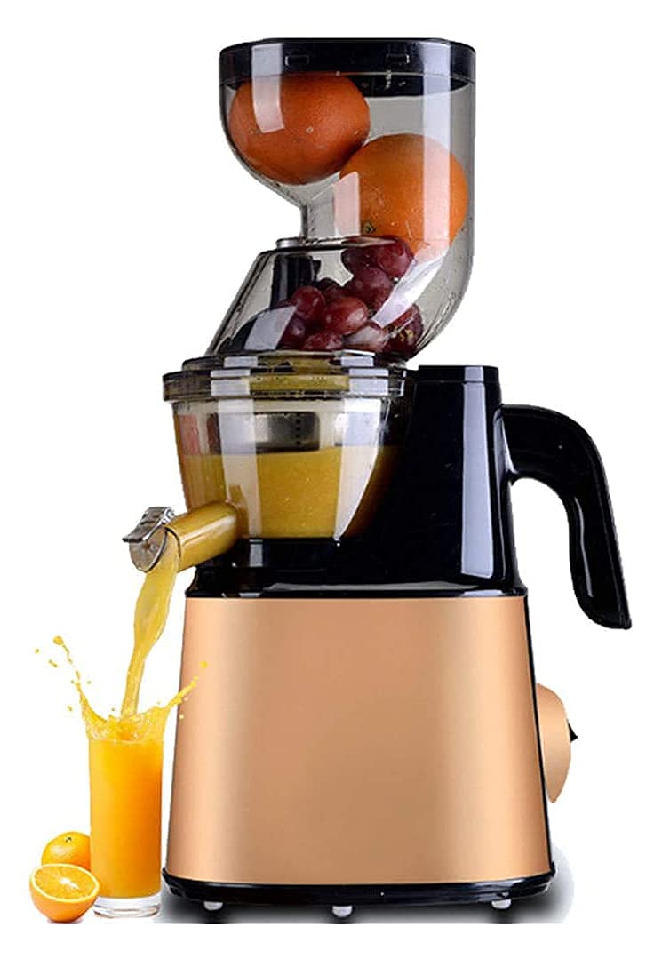 Slow Masticating Juicer with Wide Mouth Hopper for Fruits and Vegetables