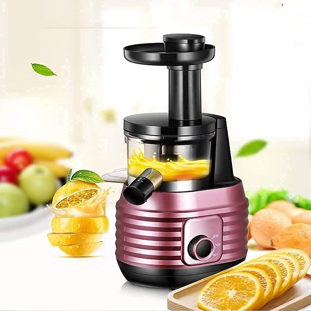 Slow Masticating Juicer with Reverse Function and Quiet Motor