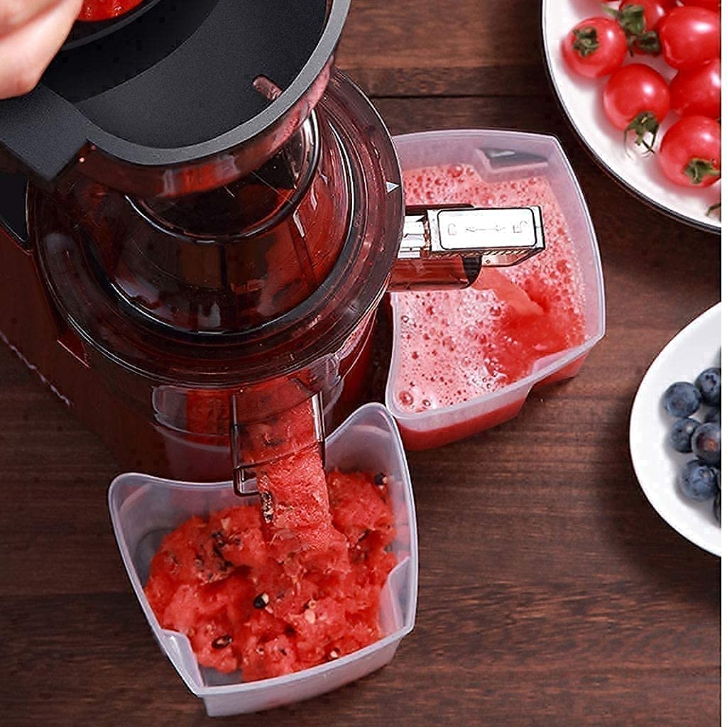 Slow Juicer Machine with Dual Feed Chute and BPA-Free Components