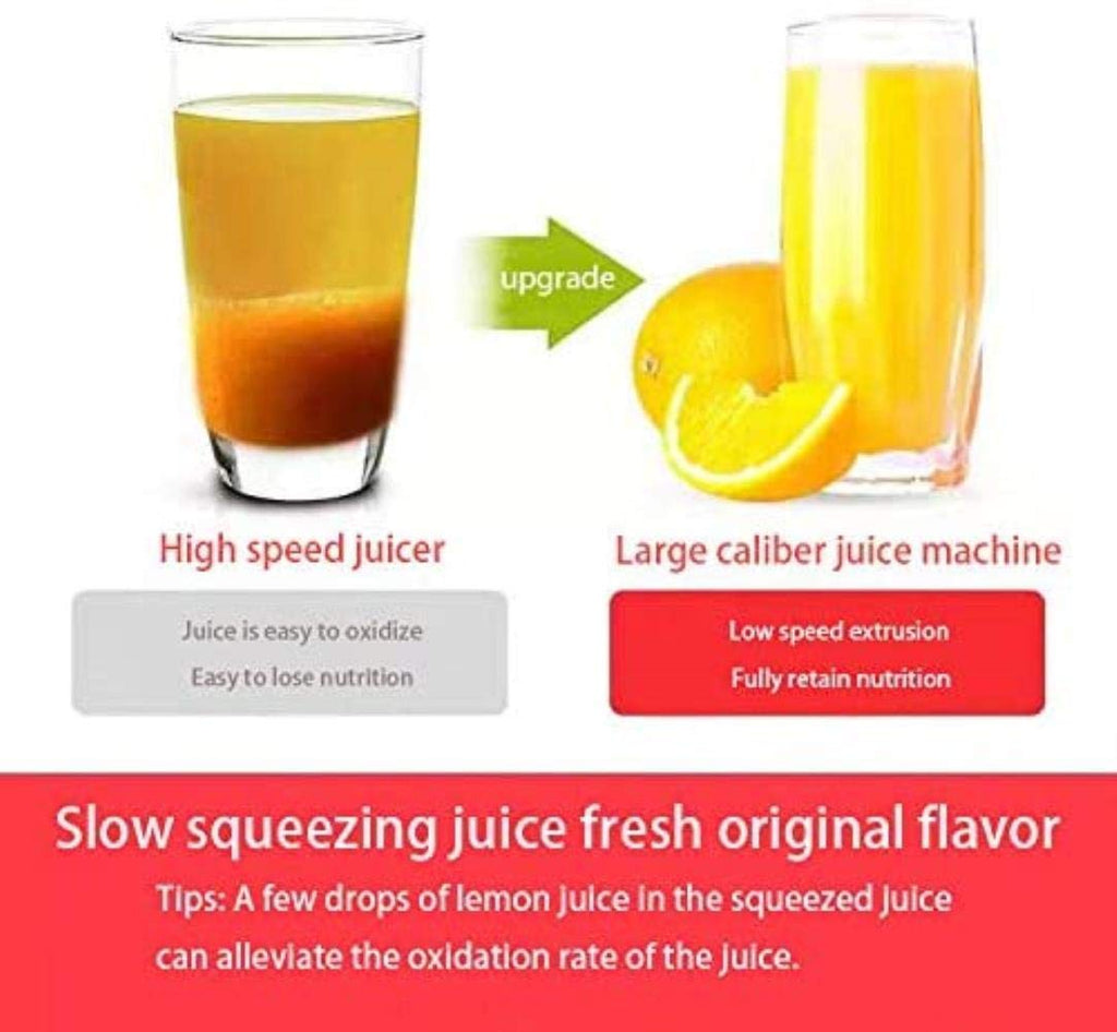 Automatic Slow Juicer Machine for Fruit and Vegetable Juice
