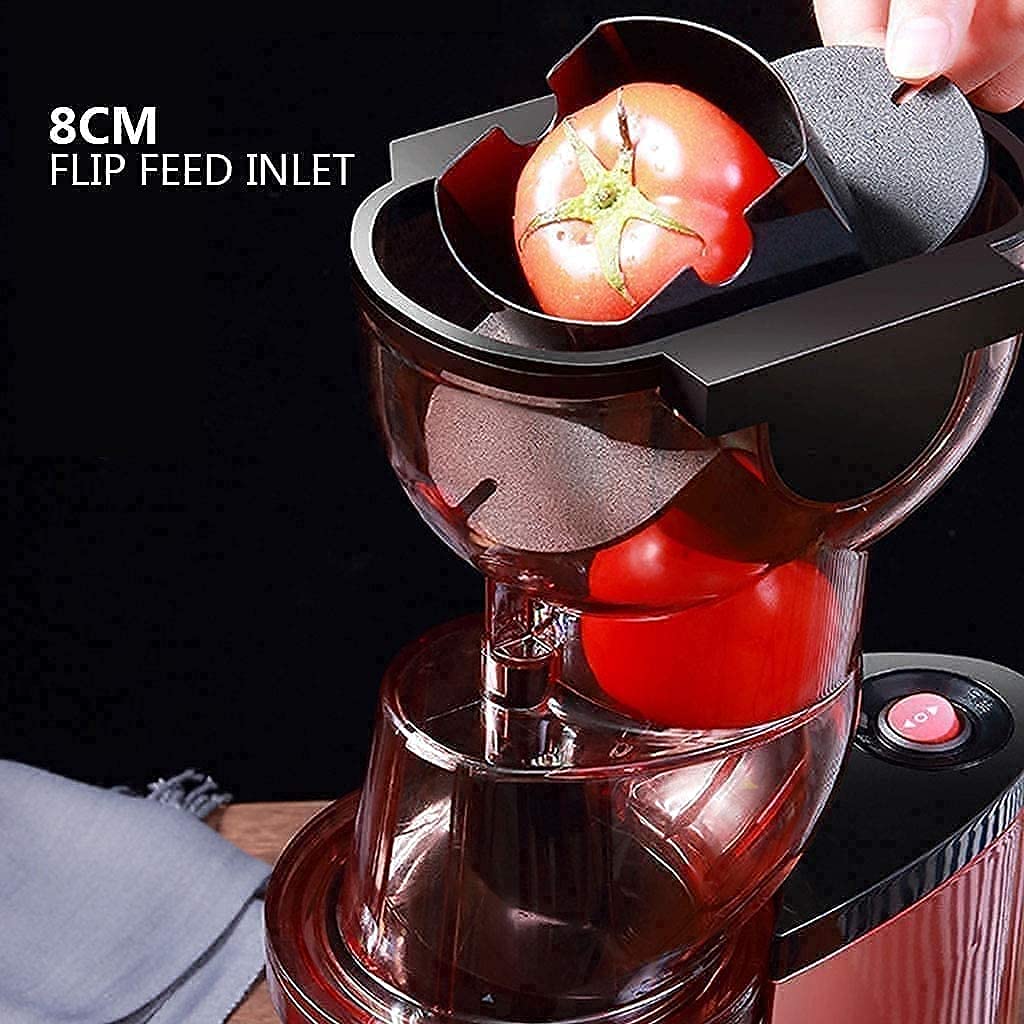 Slow Juicer Machine with Dual Feed Chute and BPA-Free Components