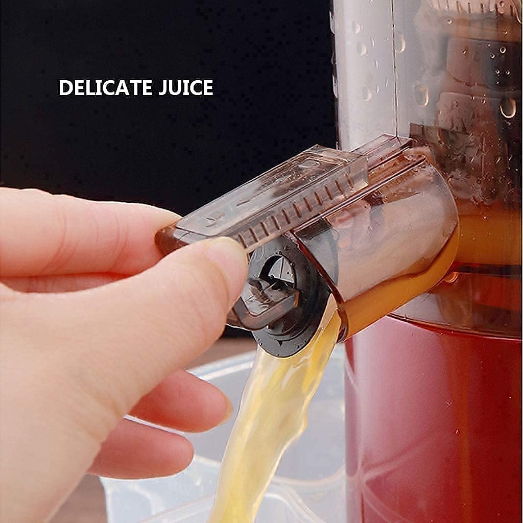 Slow Juicer Machine with Dual Feed Chute and BPA-Free Components