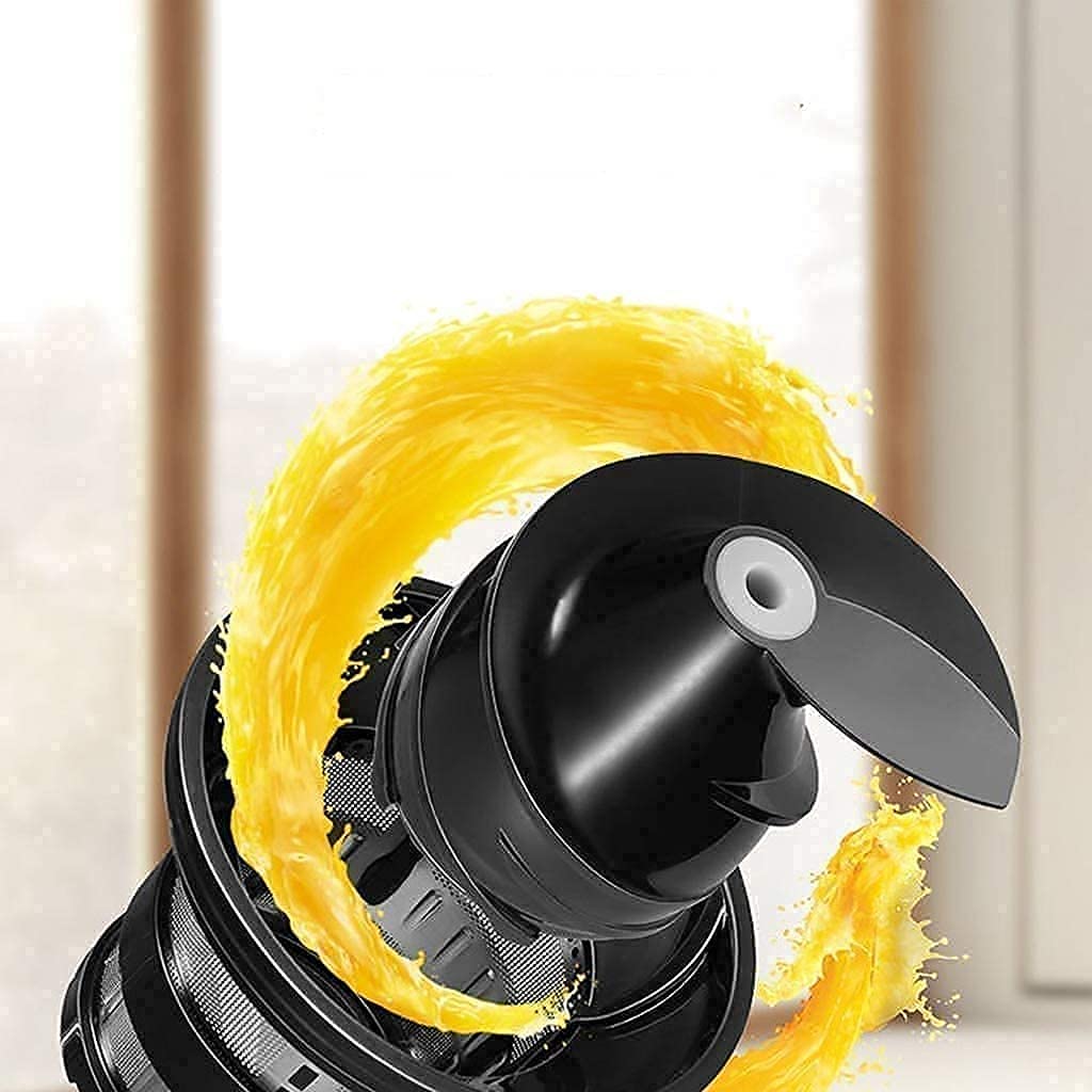 Slow Masticating Juicer with Reverse Function and Quiet Motor