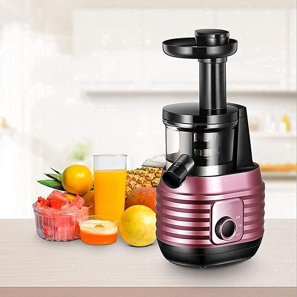 Slow Masticating Juicer with Reverse Function and Quiet Motor