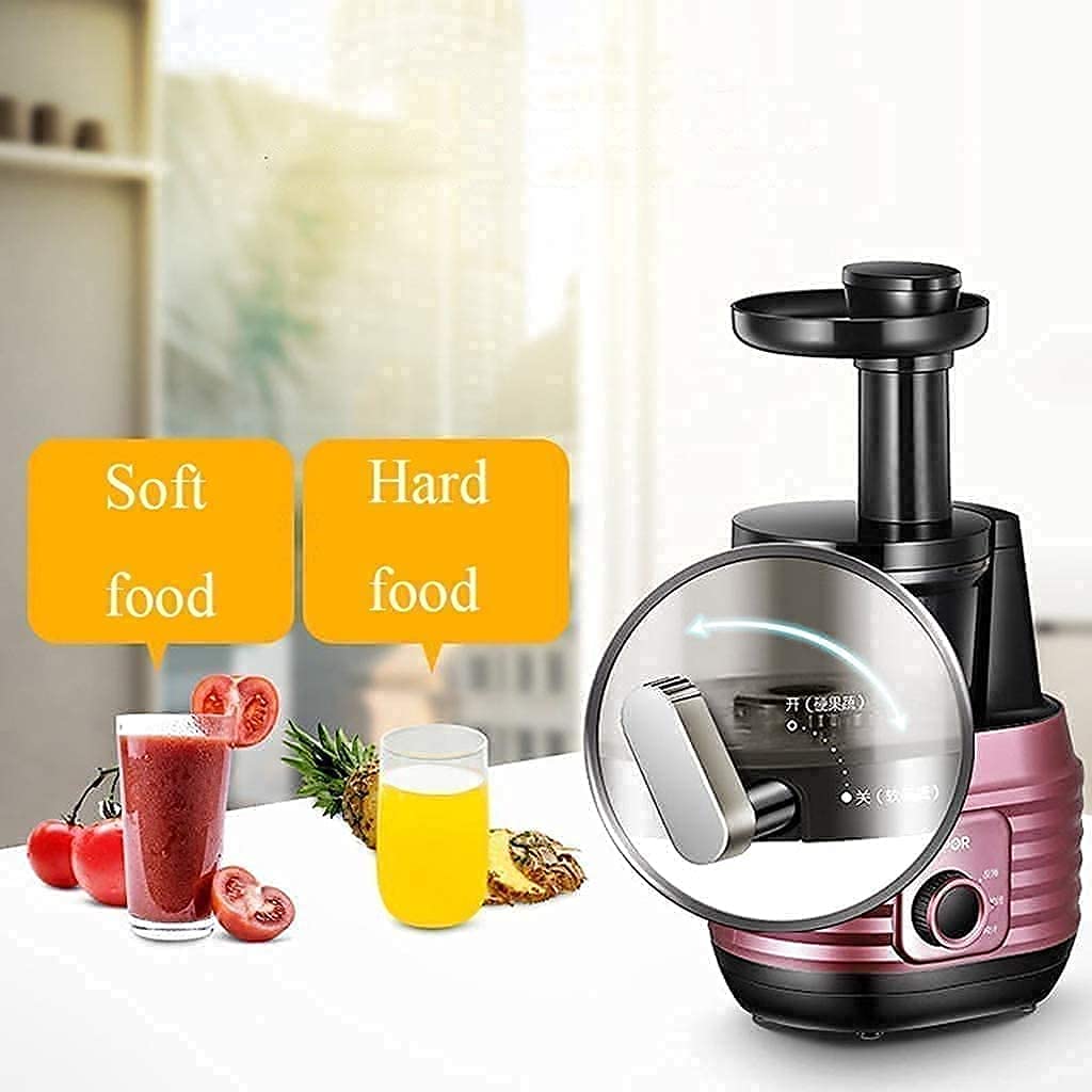 Slow Masticating Juicer with Reverse Function and Quiet Motor