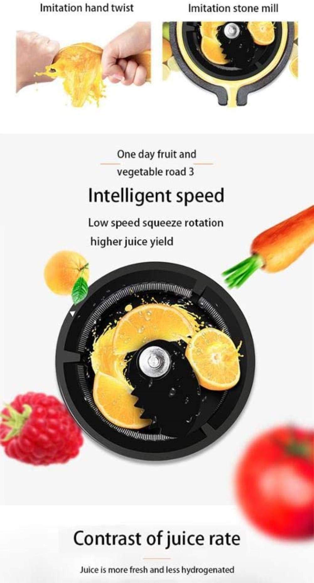 Automatic Slow Juicer Machine for Fruit and Vegetable Juice